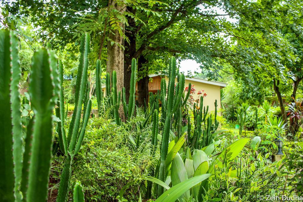 Villa 33 Blantyre Exterior photo